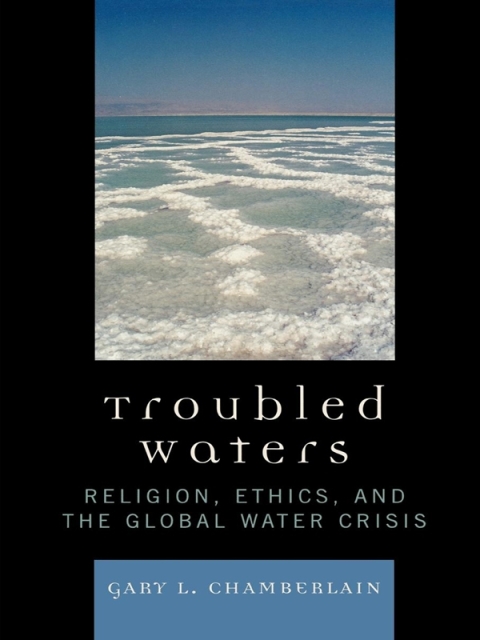 Cover image for book Troubled Waters