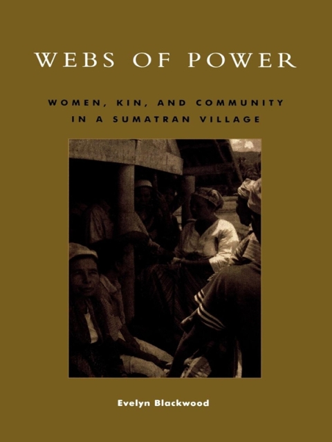 Cover image for book Webs of Power