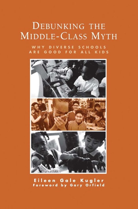 Cover image for book Debunking the Middle-Class Myth