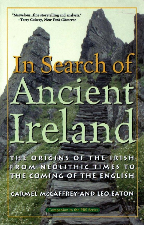 In Search of Ancient Ireland 