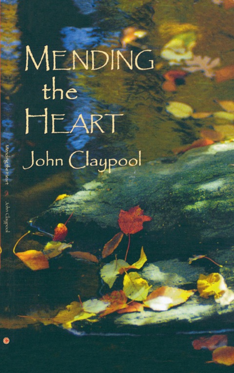Cover image for book Mending the Heart