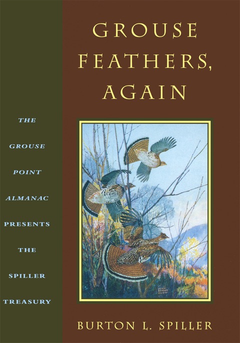 Cover image for book Grouse Feathers, Again