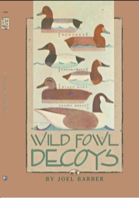 Cover image: Wild Fowl Decoys 9781568331454