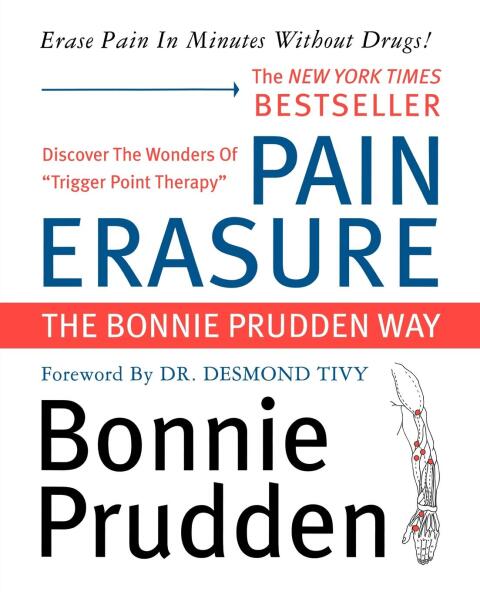 Cover image for book Pain Erasure