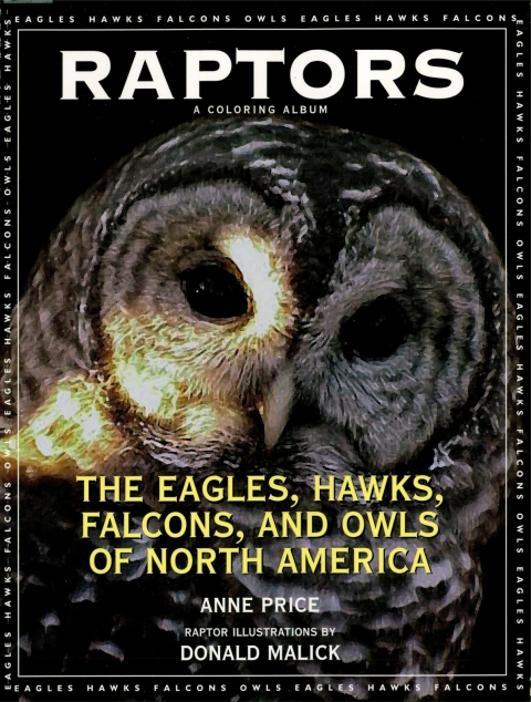 Cover image for book Raptors