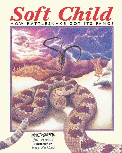 Cover image for book Soft Child