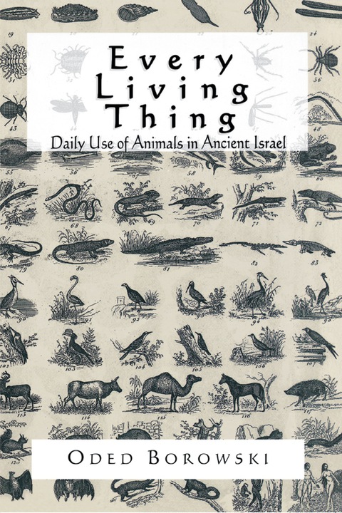 Cover image for book Every Living Thing
