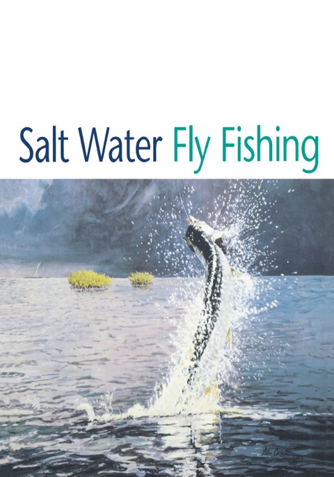 Cover image for book Salt Water Fly Fishing