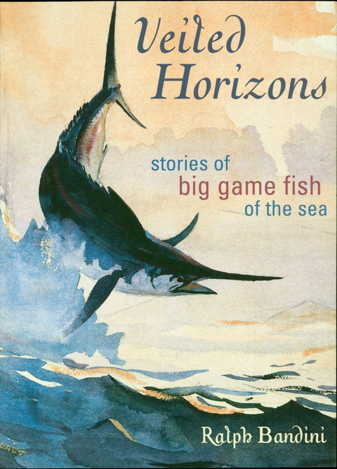 Cover image for book Veiled Horizons