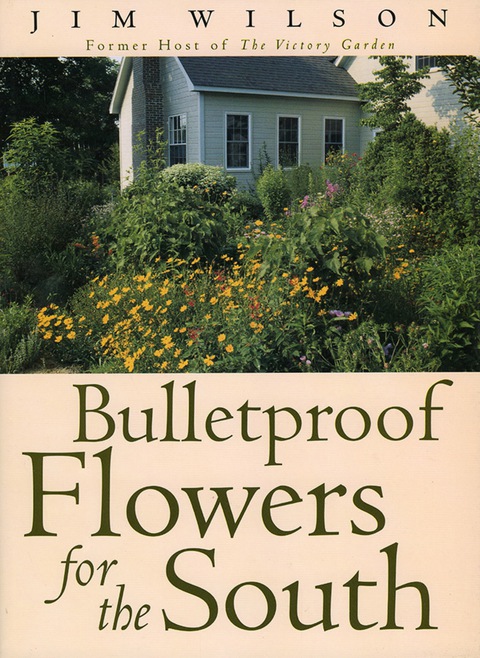 Cover image for book Bulletproof Flowers for the South