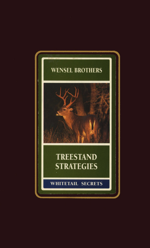 Cover image for book Treestand Strategies