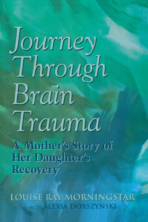 Cover image for book Journey Through Brain Trauma