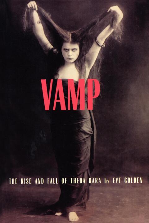 Cover image for book Vamp
