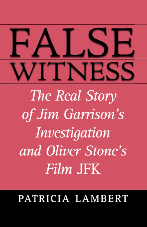 Cover image for book False Witness