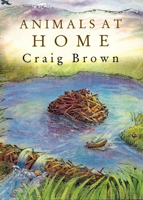 Cover image for book Animals at Home