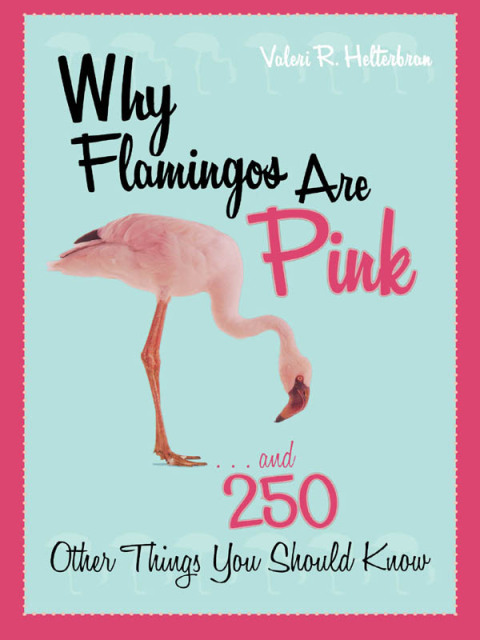 Cover image for book Why Flamingos Are Pink