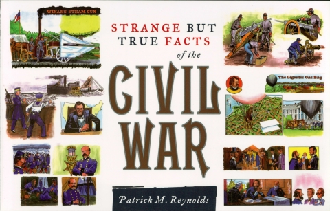 Cover image for book Strange but True Facts About the Civil War