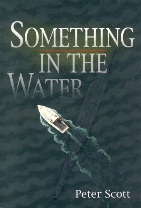 Cover image for book Something in the Water