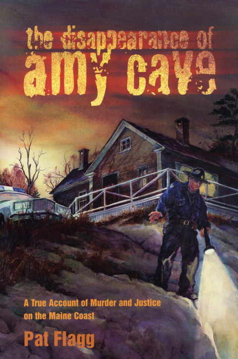 Cover image for book Disappearance of Amy Cave