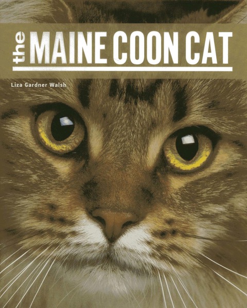 Cover image for book The Maine Coon Cat