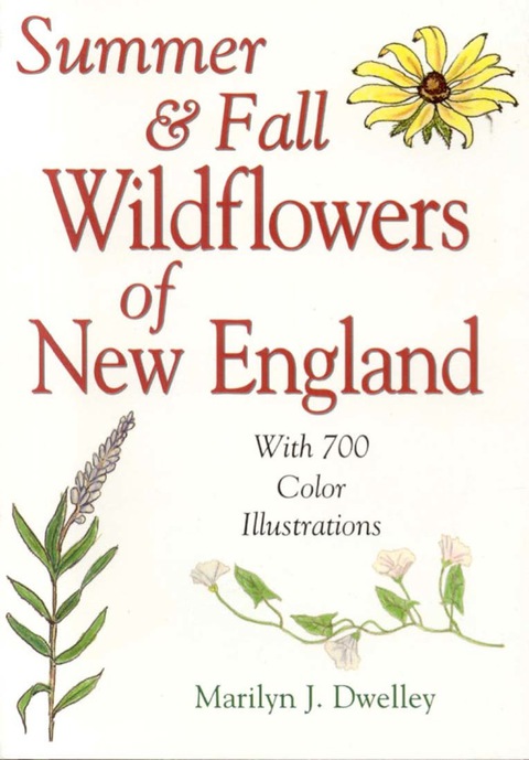 Cover image for book Summer & Fall Wildflowers of New England