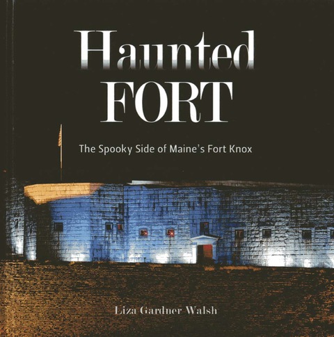 Cover image for book The Haunted Fort