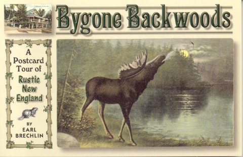 Cover image for book Bygone Backwoods