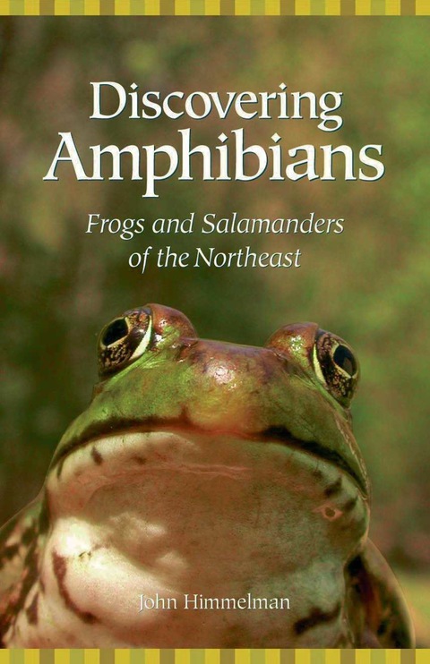Cover image for book Discovering Amphibians