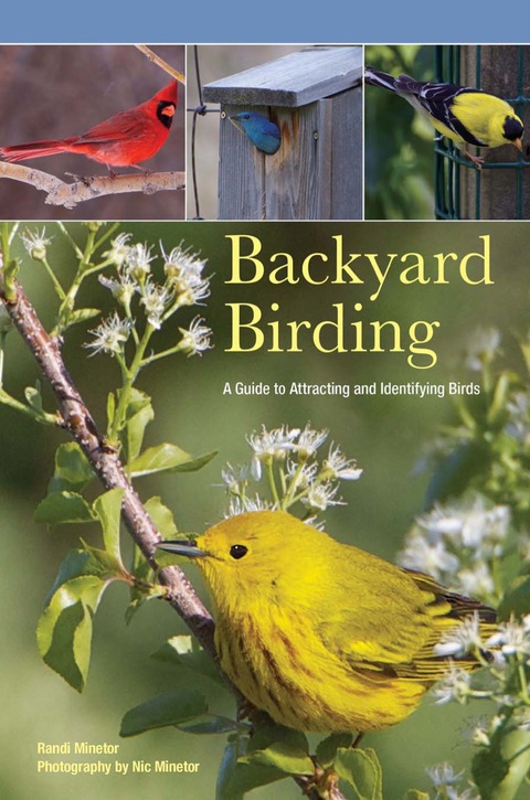 Cover image for book Backyard Birding