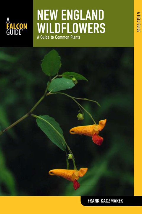 Cover image for book New England Wildflowers