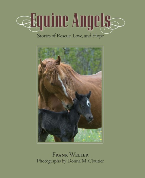 Cover image for book Equine Angels