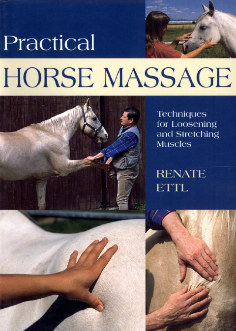 Cover image for book Practical Horse Massage