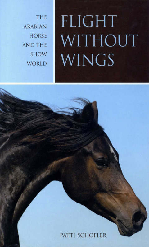 Cover image for book Flight without Wings