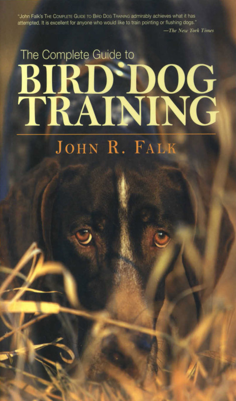 Complete Guide to Bird Dog Training 