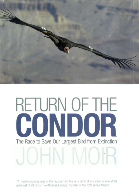 Cover image for book Return of the Condor