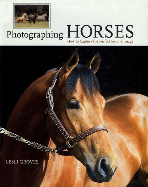 Cover image for book Photographing Horses
