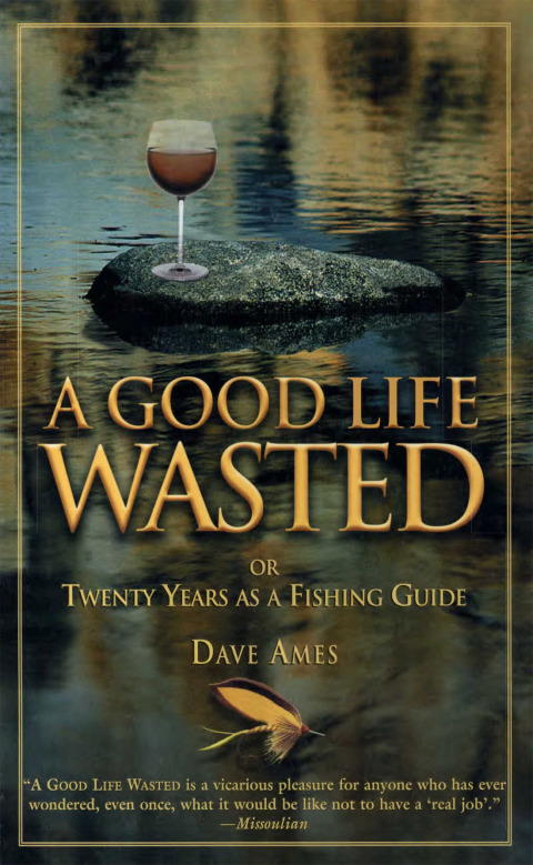 Cover image for book Good Life Wasted