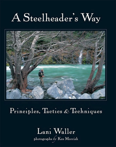Cover image for book Steelheader's Way
