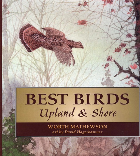 Cover image for book Best Birds Upland and Shore