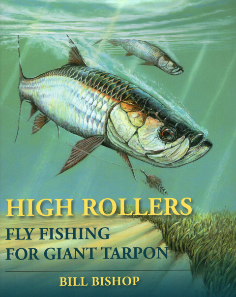 Cover image for book High Rollers