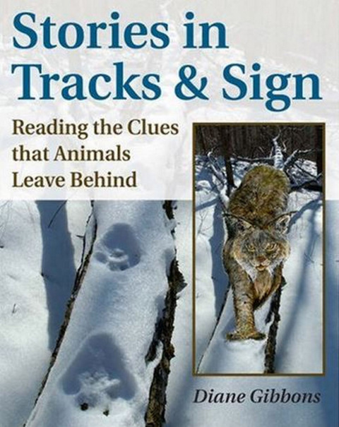 Cover image for book Stories in Tracks & Sign
