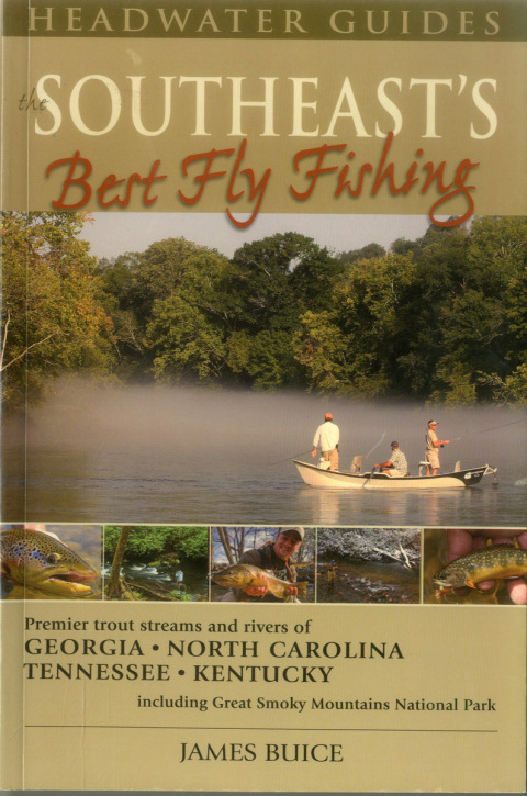 Cover image for book Southeast's Best Fly Fishing
