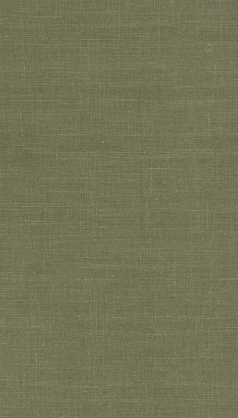 My Urban Wilderness in the Hollywood Hills 