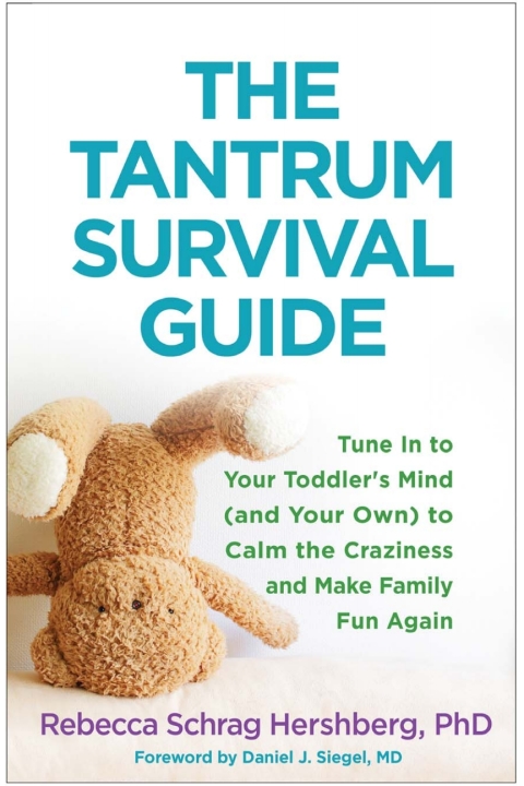 Cover image for book The Tantrum Survival Guide