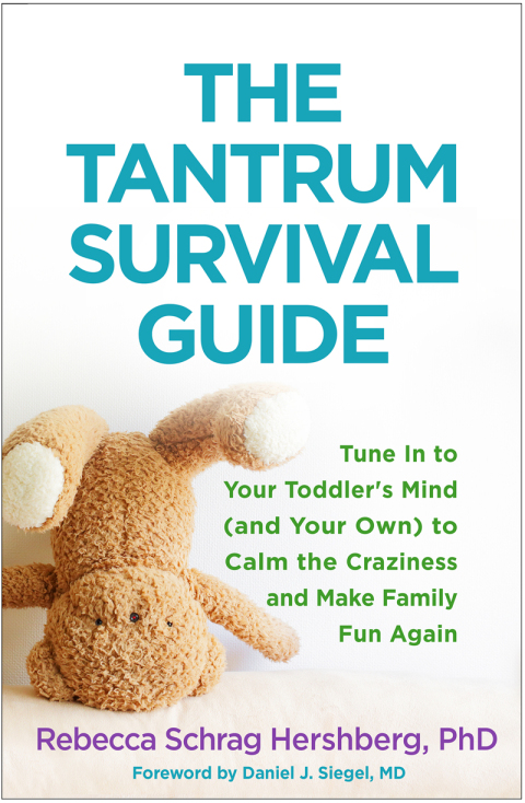 Cover image for book The Tantrum Survival Guide