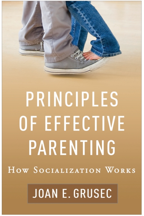 Cover image for book Principles of Effective Parenting