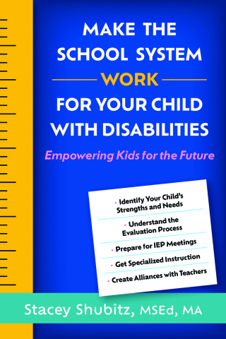 Make the School System Work for Your Child with Disabilities