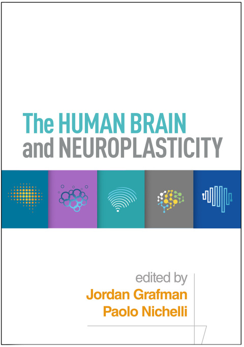 Cover image for book The Human Brain and Neuroplasticity