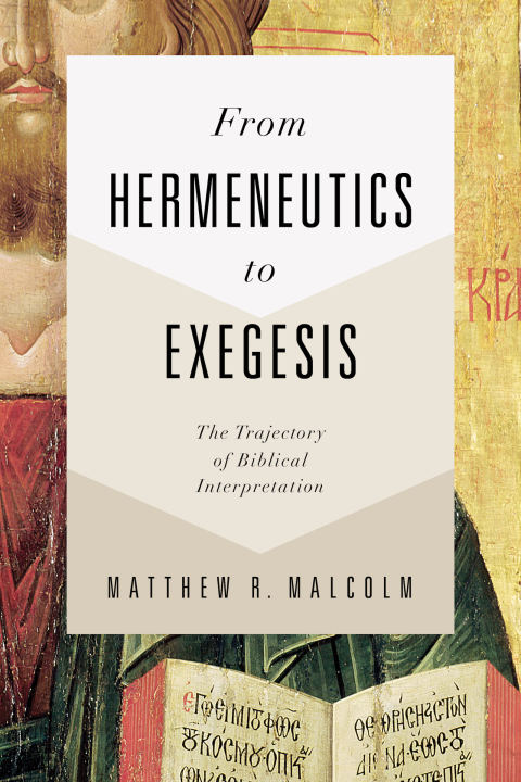 Cover image for book From Hermeneutics to Exegesis