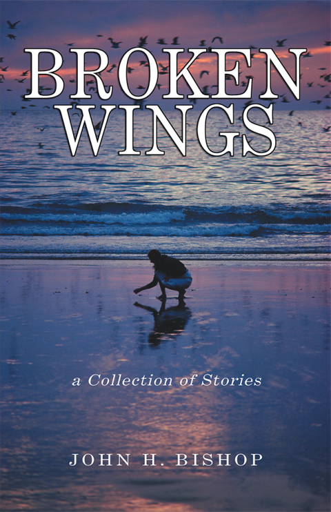 Cover image for book Broken Wings